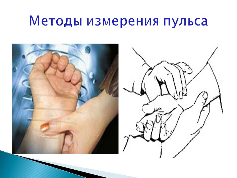 Методы измерения пульса